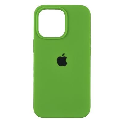 Чехол Original Full Size для iPhone 13 Pro Copy (32, Green)