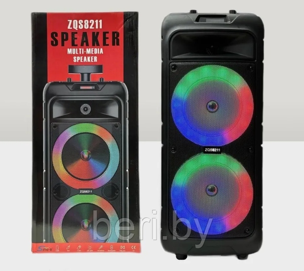 Sing-e ZQS8211 RGB Party Dual Speaker 8 inch 30W Black