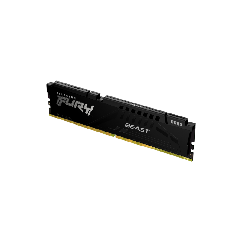 .16GB DDR5-6000MHz  Kingston FURY Beast  (KF560C36BBE2-16), CL36-44-44, 1.35V, AMD EXPO 1.1/Intel XM