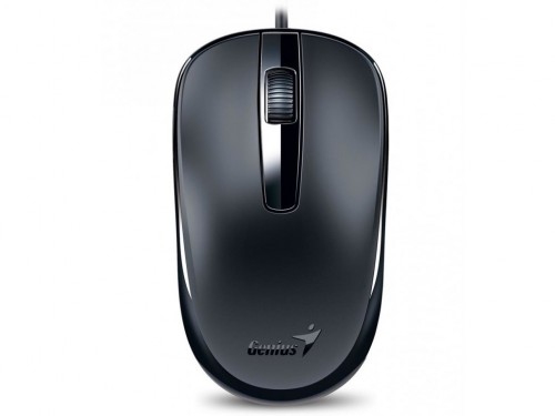 'Mouse Genius DX-120, Optical, 1000 dpi, 3 buttons, Ambidextrous, Black, USB.